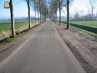 Bermstabilisatie dmv gras... Omgeving Winterswijk