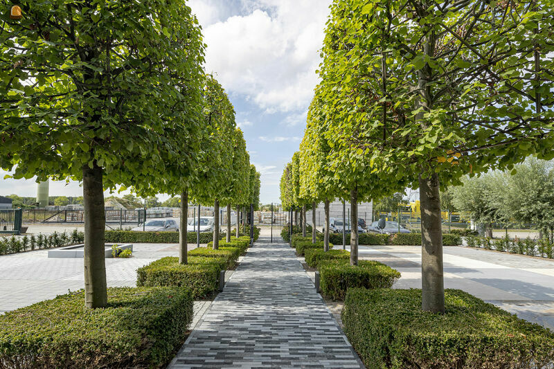 de site in Brugge werd vernieuwd met o.a. een gloednieuw toonpark